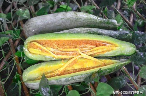 网红张奕凡吃瓜,揭秘娱乐圈幕后真相 第1张 网红张奕凡吃瓜,揭秘娱乐圈幕后真相 第1张