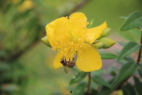 锐雯爆料代打视频下载安装,下载安装全过程解析 第2张 锐雯爆料代打视频下载安装,下载安装全过程解析 第2张